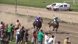 Claudioturf - Hipódromo de Cintra - Chaman 10/11/2024