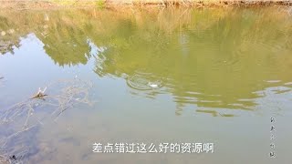 野钓：差点错过这么好的资源，小河沟鲫鱼连杆，太安逸了…