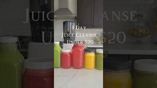 How I did a $20 1-Day Juice Cleanse to Boost my Immunity #juicing #juicecleanse #immunity