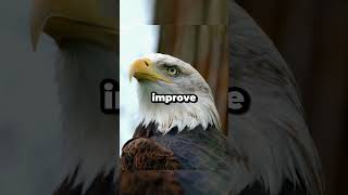 Young Eagles Secret Training Method 🦅 #facts #viral #trending #shorts #eagles