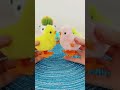 chick toys shorts toys