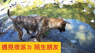 【烏來堰堤 紅河谷】探索未知ㄉ一段溪谷 @遇見很派ㄉ陌生朋友