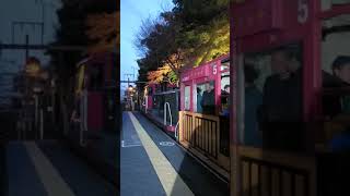 2018/12/2京都嵐山小火車賞楓(1)