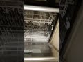 InDeSIT Dishwasher| installation| #shorts @saelectronic2493 #subscribe#youtubeshorts #viral #video