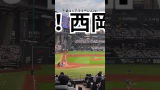 #西岡剛 #阪神タイガース #千葉ロッテマリーンズ #プロ野球 #侍ジャパン #プレミア12