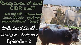 పశువు మానంలో ఉపయోగించే CIDR అంటే? పందుల పెంపకం లాభదాయకమేనా? సమస్యలు-పరిష్కారాలు:ఎపిసోడ్ -2|Dr Mahesh