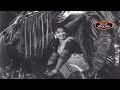 akkineni nageswara rao and savitri old telugu movie scene nede vidudala