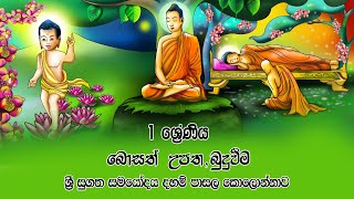 සිදුහත් බෝසතාණන් වහන්සේගේ උපත | සම්මා සම්බුද්ධත්වය