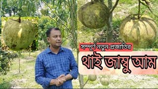 নতুন জাতের \