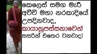 MDM5105 කෙලෙස් සමග මැරී අවීචි මහා නරකාදියේ උපදිනවාද, කායානුපස්සනාවෙන් සසරින් එතෙර වනවාද!