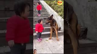 great babysitter #shorts #cutebaby #cutedog #cute