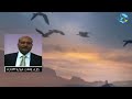 eritrea ሙልጌታ ገ መድህን ወዲ ሊያ former operator of military officers eritrea tefetawitalkshow story