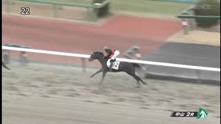 20250106 競馬ﾚｰｽﾄﾋﾟｯｸ　01【大野Ⅲ】'25中1-2-2R D1800 3未勝利 ラーナローザ