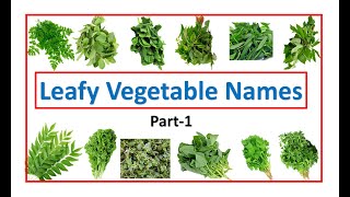 leafy vegetable names | names of leafy vegetables | leafy veggies | #leafy# |  #EToddlers