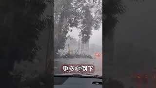 吉隆坡暴风雨