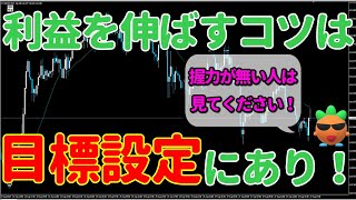 海外口座でハイレバFXリアルトレード第12回目『大事なのは目標設定』