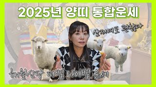 해월신당 2025년 을사년 양띠 나이별 통합운세