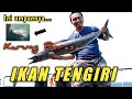 Mancing Tonda Ikan Tengiri - Umpan Karung Beras