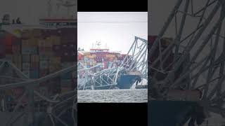 Baltimore Bridge Collapse: Was it About Insurance? | #shorts #news #update