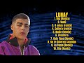 lunay music hits roundup for 2024 leading hits mix predominant