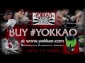 saenchai likes yokkao bad company shorts twitter @yokkaoboxing