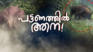 ജനവാസ മേഖലയിൽ ഇറങ്ങി കാട്ടാന | Spot Reporter 11 Oct 2023