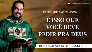 Homilia Diária | Liturgia de Hoje |Palavra do Dia - Padre Adriano Zandoná