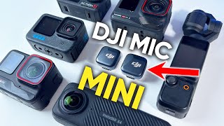 DJI Mic MINI with Insta360 X4, Insta360 Ace Pro 2, GoPro 12, DJI Action 5 and DJI Pocket 3