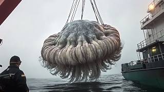 The Ocean Is Hiding Something HUGE & Scientists Are Worried