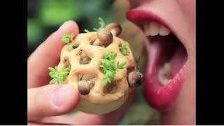 3D Printed Food: The Future of Healthy Eating | Chloe Rutzerveld | TEDxYYC
