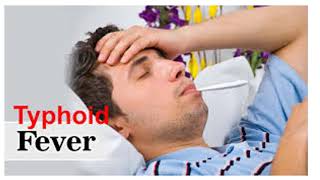 ሕማም ታይፎይድ ፊቨር (Typhoid fever)