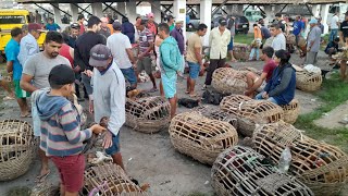 Feira de Galinhas em Surubim,à melhor de Pernambuco 14/02/2025 $$