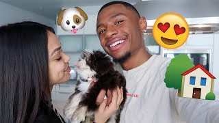 NEW APARTMENT TOUR & MEET OUR NEW PUPPY!!! | GOLDJUICE