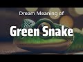 Green Snake Dream Meaning & Symbolism | Interpretation Psychology