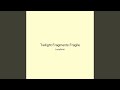 Twilight Fragments Fragile