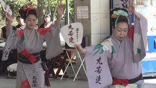 屋根付き広場「丸若連」第8回JAPAN FESTA 2019 春 阿波踊り（2019.4.28）