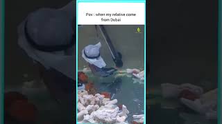 யார் அந்த சார் ? | Funny moments|  Fish transformation into Dubai citizen