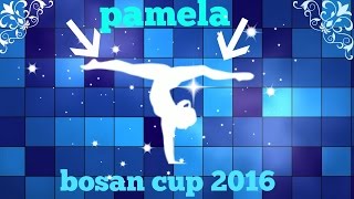 Bosan Cup 2016