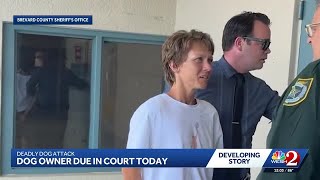 Arrest made in fatal Brevard County dog attack, sheriff says