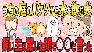 【衝撃的体験・短編5本】庭で水やりしていたら、バケツに頭を突っ込んで水を飲む犬。その姿を見た飼い主の発言が…【2ch5chゆっくり解説】