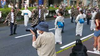 おきゃく屋（2024スーパーよさこい・二日目・表参道アベニュー・土曜選考枠）