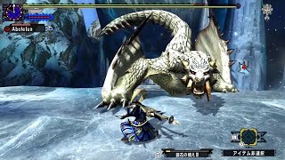 【MHXX/NS】G3 ベリオロス 3'19