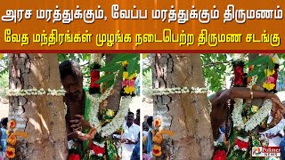 அரச மரத்துக்கும், வேப்ப மரத்துக்கும் திருமணம்..! வேத மந்திரங்கள் முழங்க நடைபெற்ற திருமண சடங்கு..!