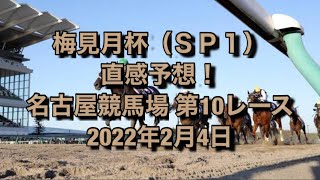 梅見月杯（ＳＰ１） 直感予想！ 名古屋競馬場  第10レース 2022年2月4日