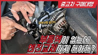 [구매대행] 냉각수 없는데 엔진교체까지 해야해? 쏘나타 뉴라이즈 사도 될까?