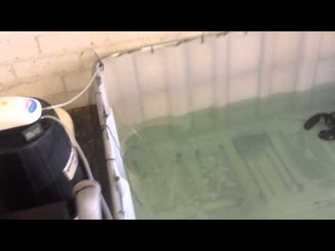 Live lobster storage tank - Video 1 Live lobster storage tank - Video 1