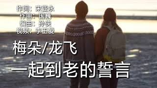 《一起到老的誓言》演唱：梅朵/龙飞