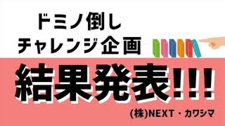 ドミノ挑戦！約500個のドミノ倒しに成功できるか？