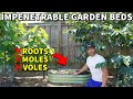 How To Keep TREE ROOTS, MOLES And VOLES Out Of Garden Beds FOR GOOD!