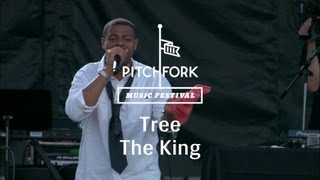 Tree - "The King" - Pitchfork Music Festival 2013